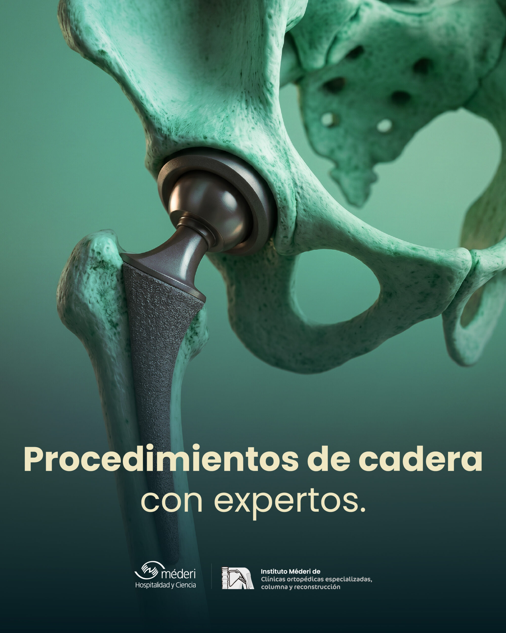 Representación médica institucional enfocada en el cuidado, la movilidad avanzada y la alta complejidad de la estructura de la cadera.